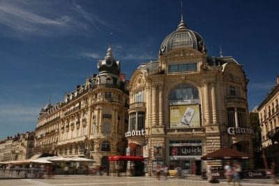montpellier-913011_640.jpg montpellier-913011_640.jpg